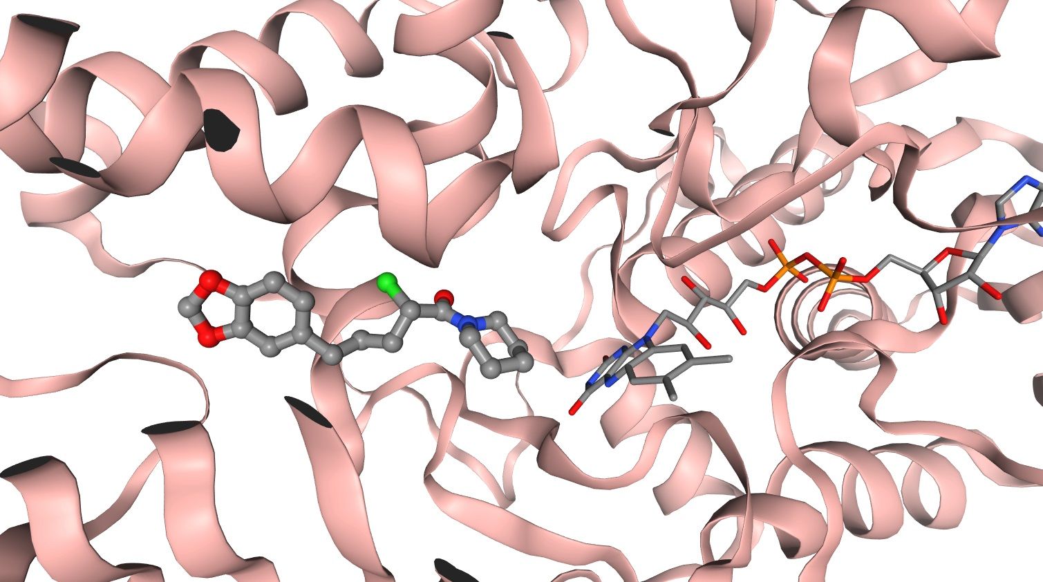 Picture of piperine derivative docking into MAO-B pocket.