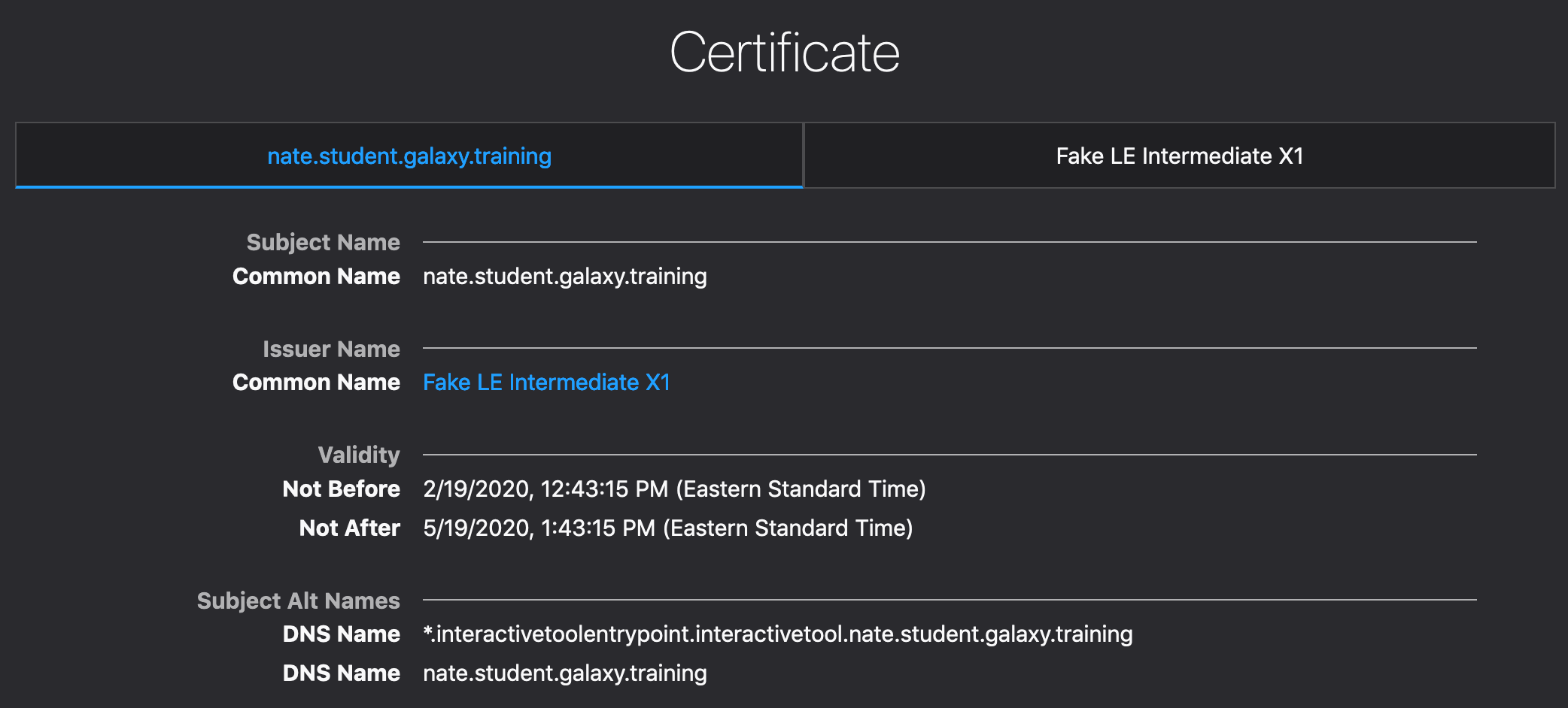 Wildcard Certificate Dialog.