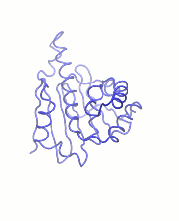 PC1 Hsp90 gif.