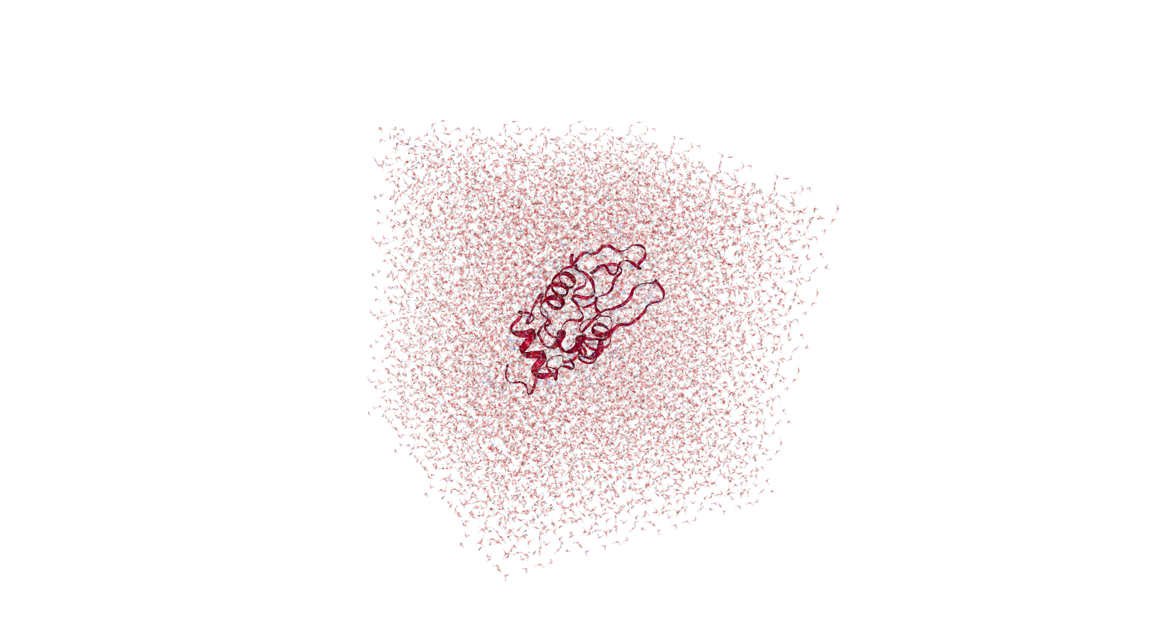 Solvated protein.