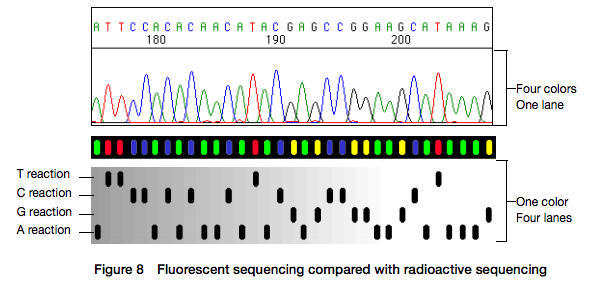 PA versus chromotogram.