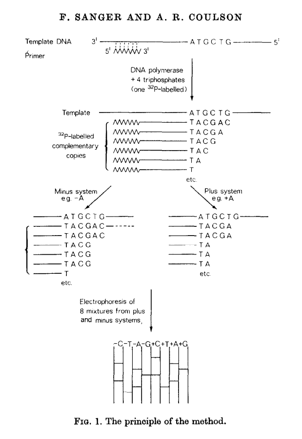 Plus/minus method.
