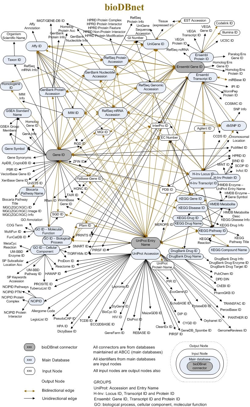 A graph representing how all the different databases are connected by unique IDs, where major nodes are DBs, and arrows connect them to the IDs (minor nodes) that they report. The map is very crowded, especially around the UniProt Entry Name, Gene ID and Ensembl Gene ID.