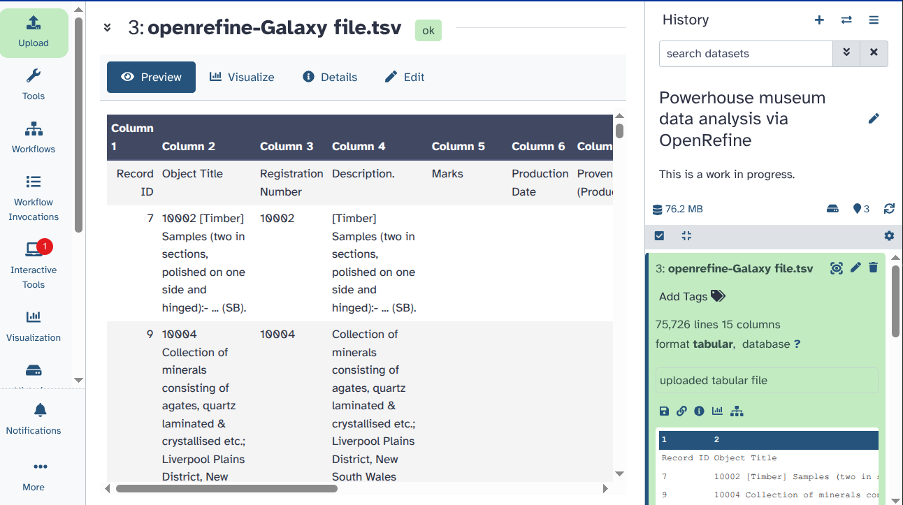 Cleaned dataset.