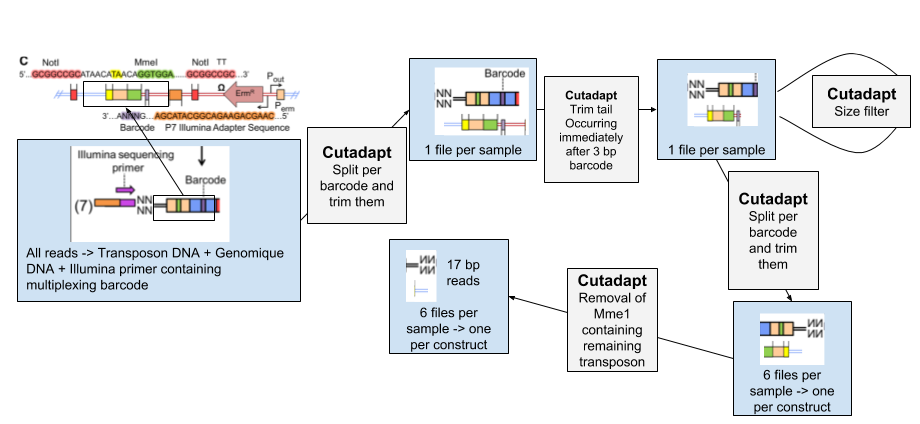 Workflow of data pre-processing.