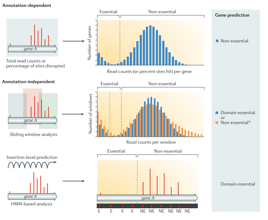 Different types of TnSeq Analyses.