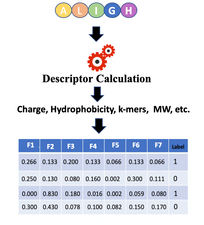 Peptide descriptors.