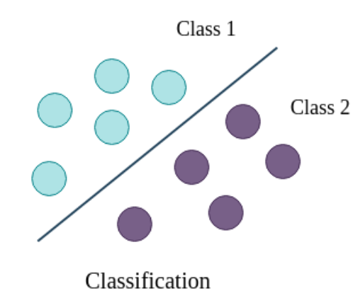 Classification