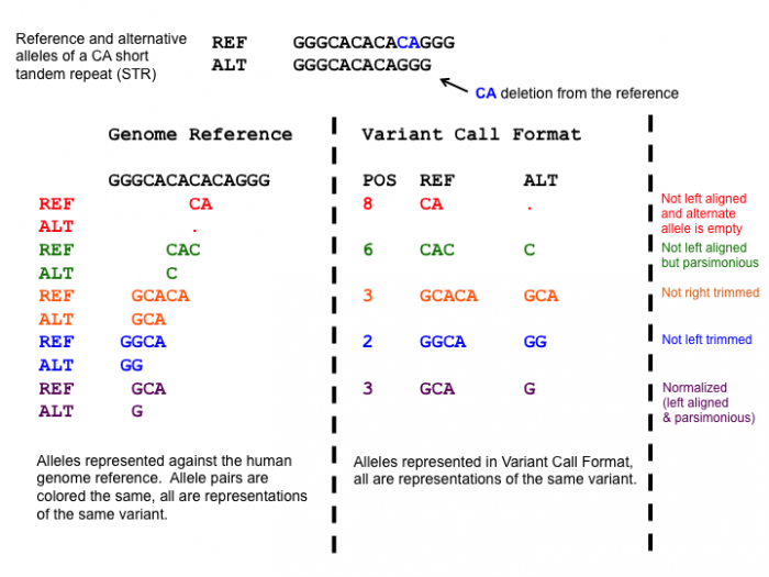 Image of different representations of the same variant. On the top the variant is shown in the reference sequence GGGCACACACAGGG and the alternate sequence GGGCACACAGGG. Underneath the image is divided into two panels, the left panel aligns each allele to the reference genome, and the right panel represents the variants in a VCF with the columns POS (position), REF (reference), and ALT (alternate). From top to bottom it shows that A is not left-aligned with the reference CAC and the alternate C at position 6, B is neither left-aligned nor parsimonious with reference GCACA and alternate GCA at position 3, C is not parsimonious with reference GGCA and alternate GG at position 2, and D is normalized with reference GCA and the alternate position G at position 3.